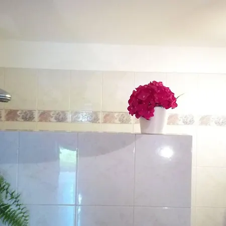Appartement Comfortable House - Garden And Parking *