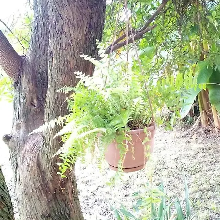 Comfortable House - Garden And Parking